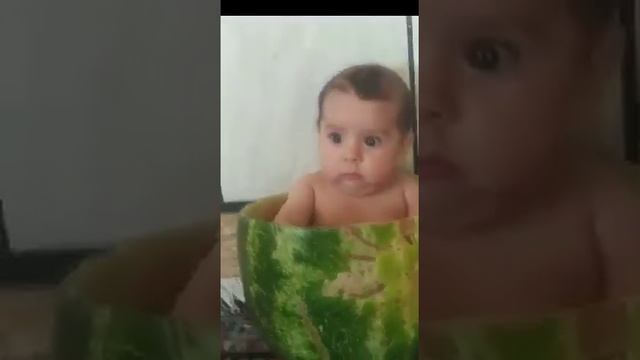 Самый Большой!?!! арбуз в мире смотреть онлайн