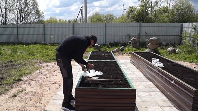 Взвесил индюков Хайбрид Конвертер в 9 недель. Посадил грядку.[Жизнь в деревне] смотреть онлайн