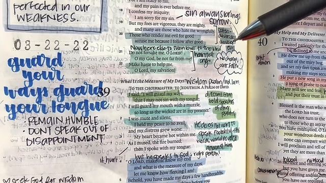 Study the Bible in One Year: Day 140 Psalms 5, 38, 41-42 смотреть онлайн