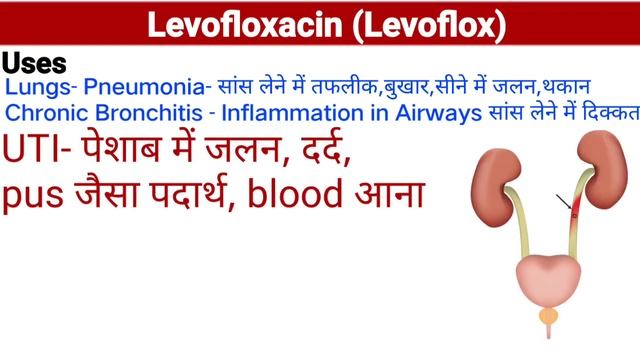 levofloxacin tablets 500 mg||Levoflox 500 mg tablet uses in hindi||fynal 500 tablet/leon tablet смотреть онлайн