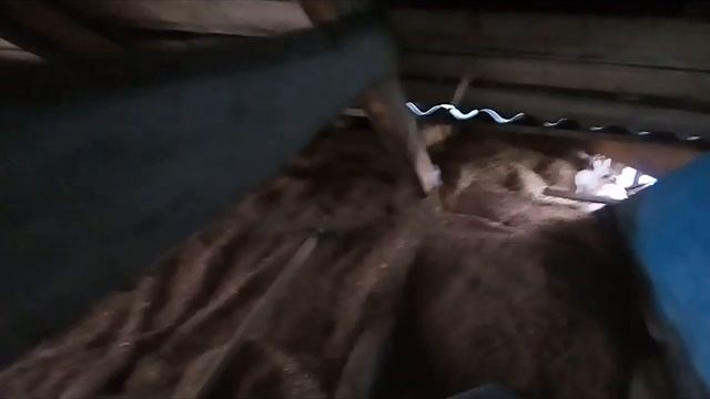 Утепление потолка опилками в сельском доме смотреть онлайн