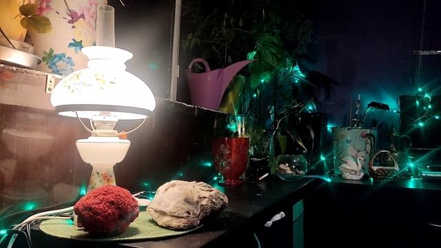 Life-VLOG: из Питера сообщают/прогулка/готовлю/уход за кожей смотреть онлайн