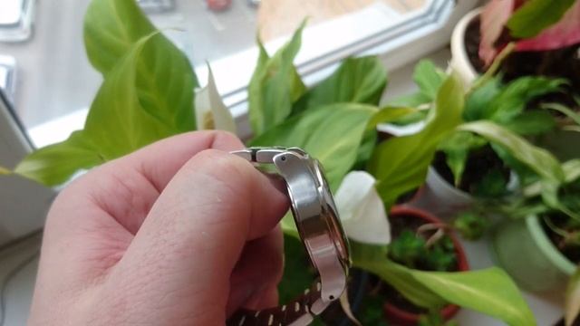 два циферблата,лимитка от Fossil или массивные котлы от пендосов смотреть онлайн