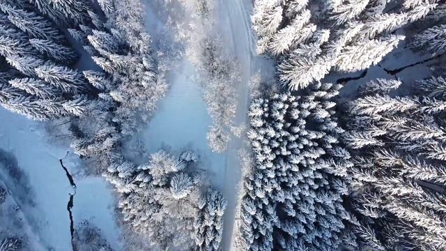 COMANDAU, COVASNA смотреть онлайн