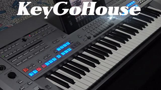 Tyros 5 Expansion Styles - KeyGoHouse смотреть онлайн
