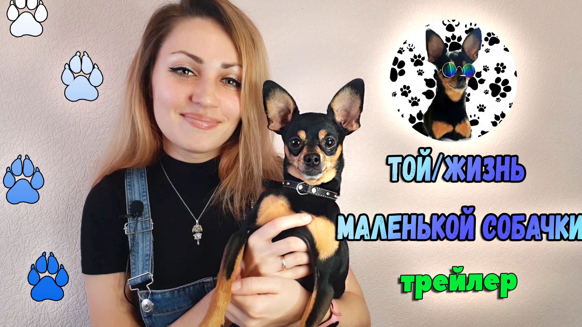 Трейлер Той/Жизнь маленькой собачки смотреть онлайн