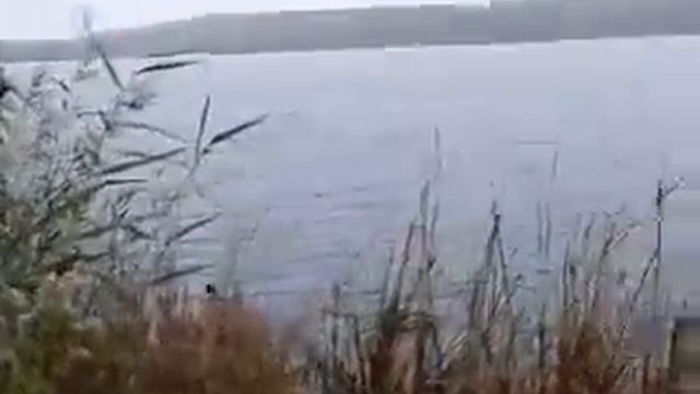 De Poel - Amstelveen, The Netherlands смотреть онлайн