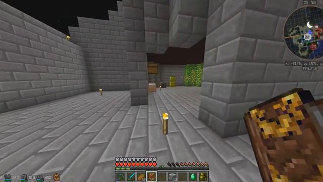 Minecraft - SaM - Похождения на сервере FCG - #21 - Голем- алхимик смотреть онлайн