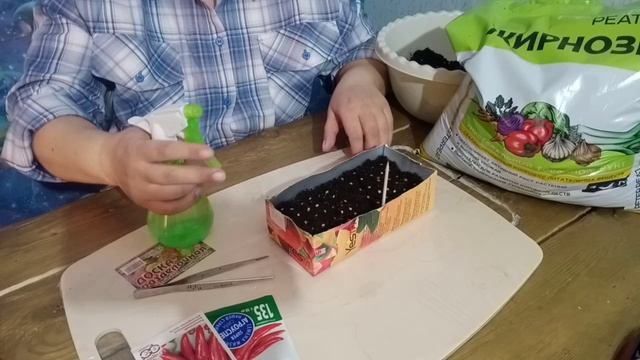 Посев острого перца на рассаду.