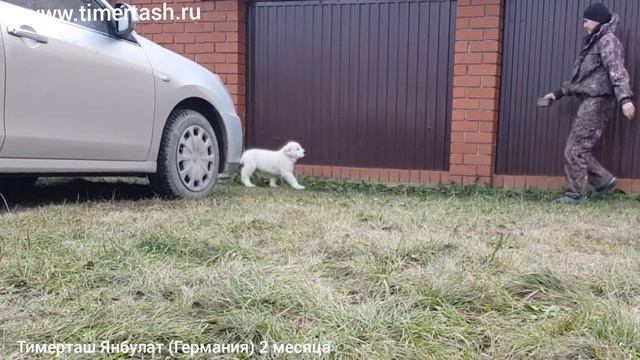 ТИМЕРТАШ ЯНБУЛАТ (Германия) 2 месяца еще больше фото видео на сайте Www.timertash.ru