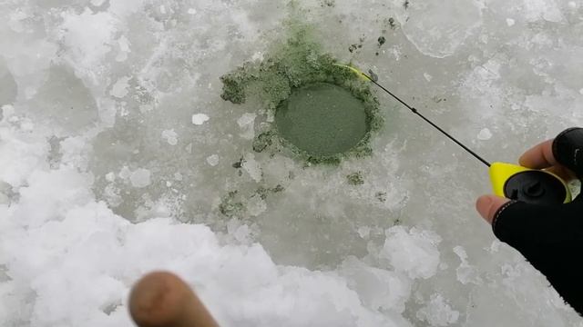 ЦАРИЦЫНО. Нижний пруд. Зимняя рыбалка. смотреть онлайн