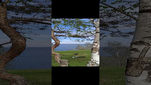 Озеро Ильмень_1. Апрель 2024 год