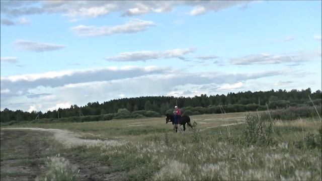 Обучение лошади. Поэтапная заездка ))) смотреть онлайн