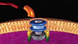 Доказательства существования Бога