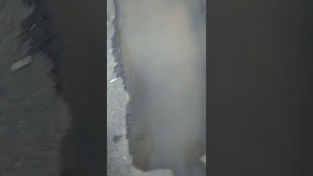 В Бобруйске из-под земли льётся вода смотреть онлайн