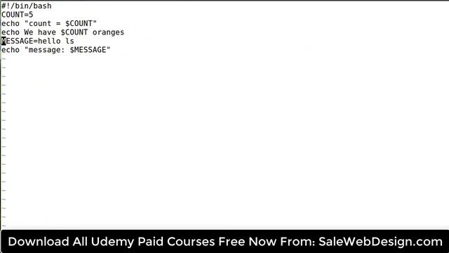 Linux Bash Shell Scripting: Complete Guide (incl. AWK and SED) смотреть онлайн