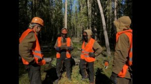 Валка леса в геологоразведке