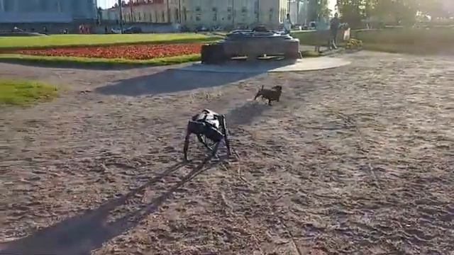 РОБОТ СОБАКА И ТАКСЫ смотреть онлайн