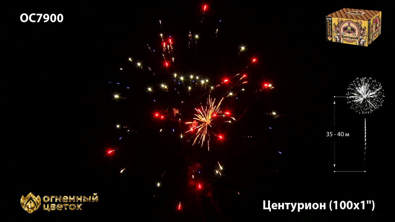OC 7900 смотреть онлайн