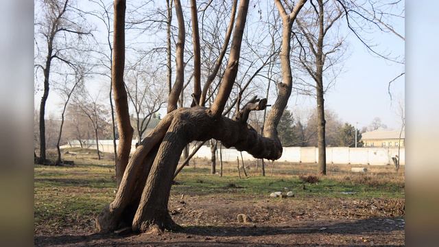 Уличная фотография  42. Фотографии сделаны в разное время в разных местах. VadimIsakovphoto