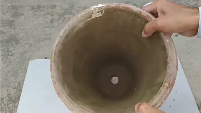 How to grow cardamom from seed at home (Step by step with full instructions) 2022 смотреть онлайн