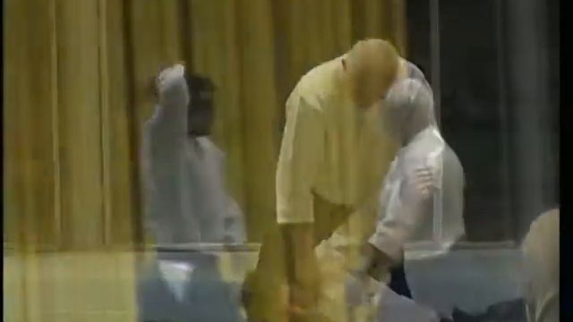 Aikido Stéphane Benedetti 6º dan y Octavio de la mata 5º dan смотреть онлайн