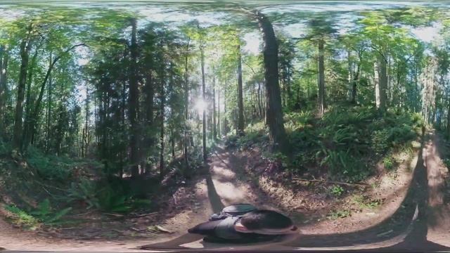 360˚ Virtual Forest Hike - Explore May Valley Loop Trail, Issaquah in 8K (with Real Nature Sounds) смотреть онлайн
