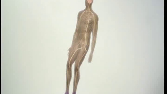 Что такое наркоз смотреть онлайн