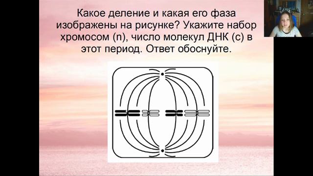 РЕШАЕМ СЛОЖНЫЕ ЗАДАНИЯ НА МИТОЗ И МЕЙОЗ | ЕГЭ БИОЛОГИЯ смотреть онлайн