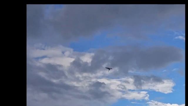 Cover Song: Do You Know Where You're Going To? Michael Masser and Gerry Goffin смотреть онлайн