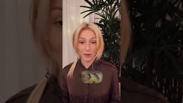 Анастасия Ивлеева извинилась за свою вечеринку..... смотреть онлайн