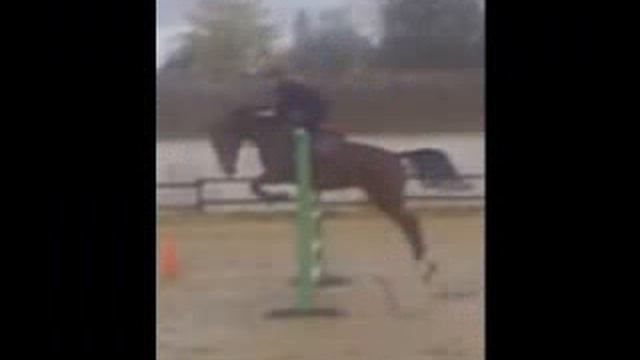 Urak des Albezias смотреть онлайн