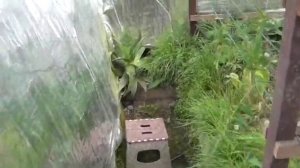 Недостатки и преимущества заглубленной теплицы.