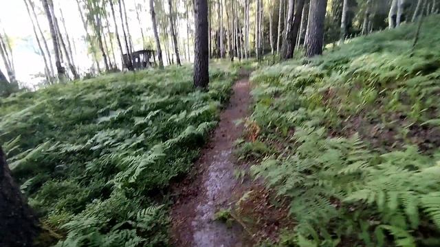 Кантри хоум.mp4 смотреть онлайн