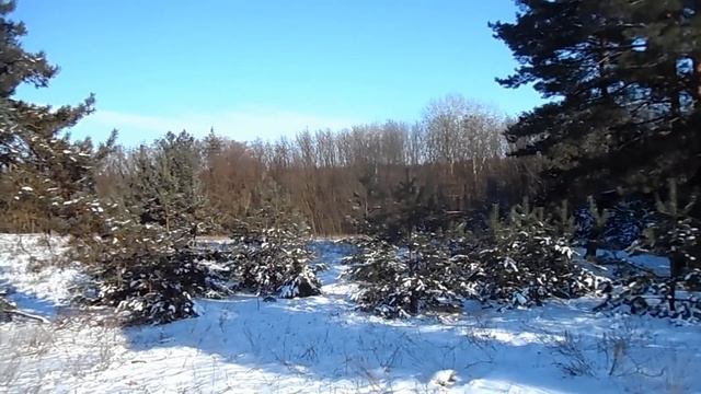 20 февраля народный праздник День Святого Луки. Именинники дня. Что нельзя делать. Народные приметы смотреть онлайн