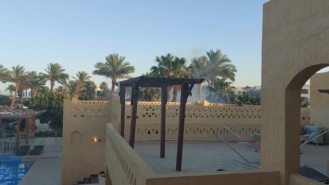 Romance Regency Club 5* Обработка от насекомых (Египет, Шарм эль Шейх) смотреть онлайн