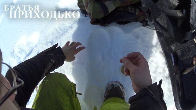 ТАИНСТВЕННОЕ ЗАРЫБЛЕННОЕ ОЗЕРО  РЫБАЛКА НА ОКУНЯ