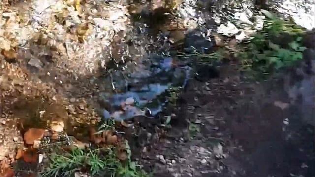 « А нам успеть бы...» / Видео стихотворение / Татьяна Ларина смотреть онлайн