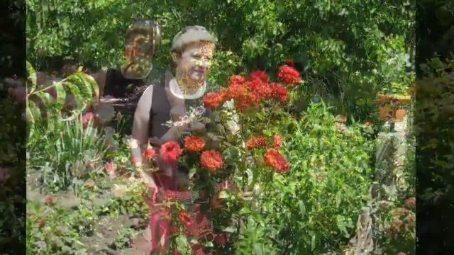 С годовщиной Свадьбы Вас!!! смотреть онлайн