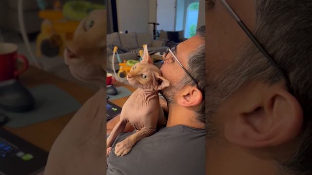 Leia in love with papa смотреть онлайн