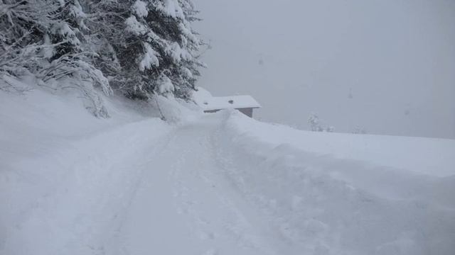 Ratzeshof - Castelrotto (Kastelruth) - Italy смотреть онлайн