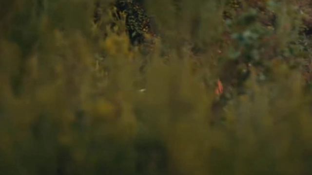 Hukmdor Usmon 2 Qism Uzbek Tilida ? #kurulusosman #osman #series #youtube #hukmdorusmon #uzbekistan