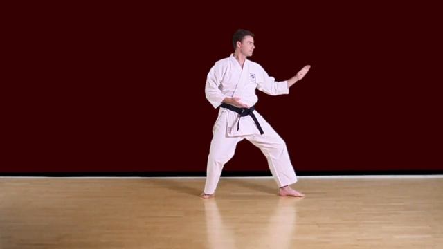 Heian Nidan (SLOW) - Shotokan Karate Kata JKA смотреть онлайн