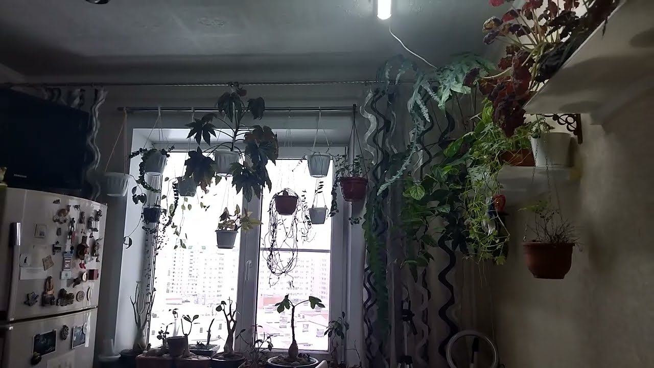 Просто напомнить о себе. Чем занимаюсь... смотреть онлайн