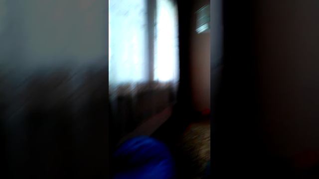 Рыжий кот смотреть онлайн