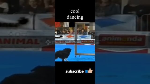 cool dancing классные танцы смотреть онлайн
