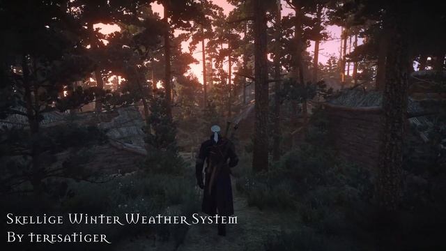 The Witcher 3 - Лучшие моды #5 смотреть онлайн