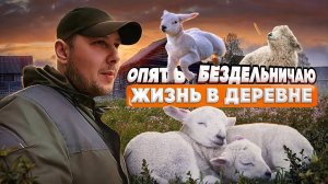 СМЕНИЛ РЕЗИНУ ! РУЧНЫЕ ОВЦЫ !  ОПЯТЬ БЕЗДЕЛЬНИЧАЮ ! [Жизнь в деревне]