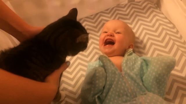 Baby Loves Family Cat | Flappy Babe смотреть онлайн