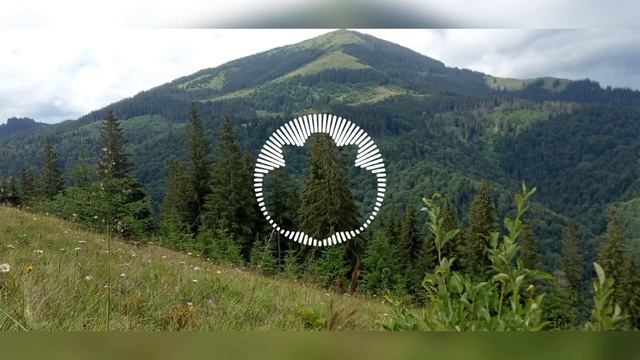 Кухарка смотреть онлайн